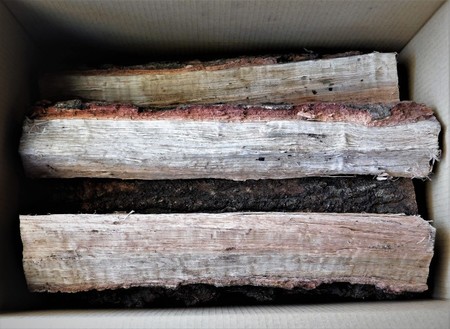 大分の薪 椚(クヌギ)直径 5-15cm長さ 約40cm 14kg クヌギの薪 乾燥薪